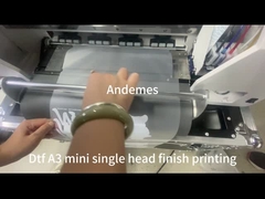 Model A3 Mini DTF da 13 pollici con forno CMYKW per frullato di inchiostro e due teste XP600