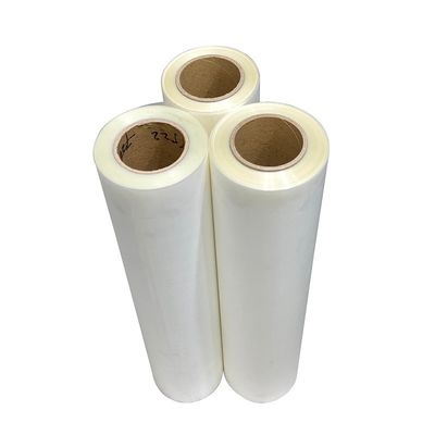 PET Transfer DTF Film Roll 30/60cm Cold And Hot Peel per stampante a getto d'inchiostro