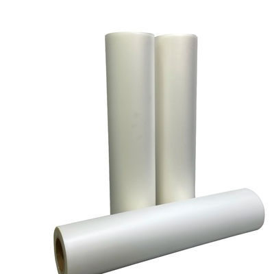 8.5 X 14 13 x 19 20 pollici Dtf Film Heat Transfer Paper Per DTF Inkjet Printer 24 pollici PET Film In White