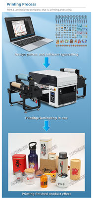 Epson 1390 Color A3 UV Printer CE/UKCA/ROHS A3 3in-1 XP600 DTF per la stampa di adesivi da rulli a rulli