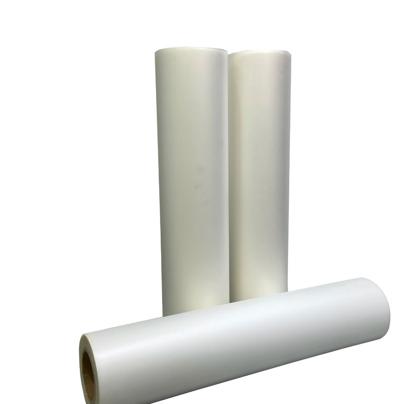 8.5 X 14 13 x 19 20 pollici Dtf Film Heat Transfer Paper Per DTF Inkjet Printer 24 pollici PET Film In White
